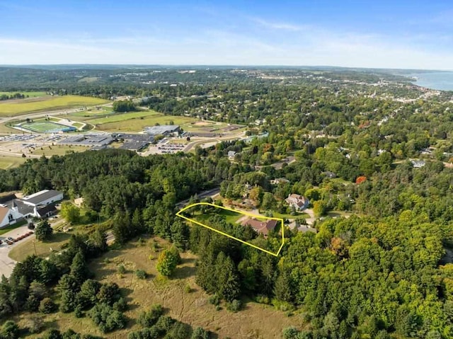 290 Mitchell Hills Dr, Petoskey, MI 49770 - view of property location featuring a forest and property parcel outlined