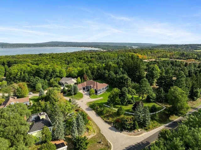 290 Mitchell Hills Dr, Petoskey, MI 49770 - aerial overview of property's location with a forest and a nearby body of water