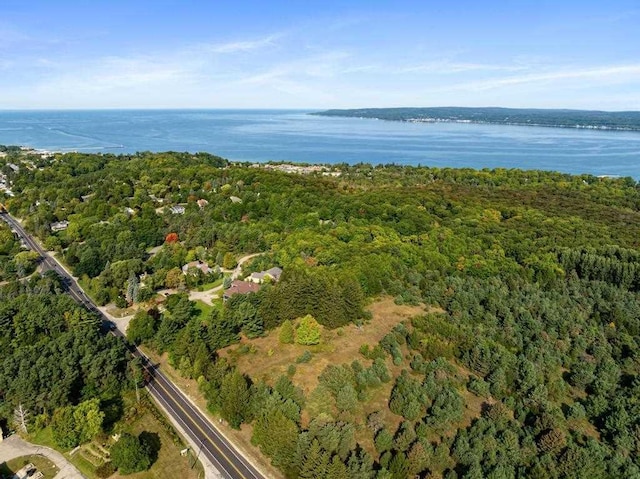 290 Mitchell Hills Dr, Petoskey, MI 49770 - view of property location featuring a forest and a nearby body of water