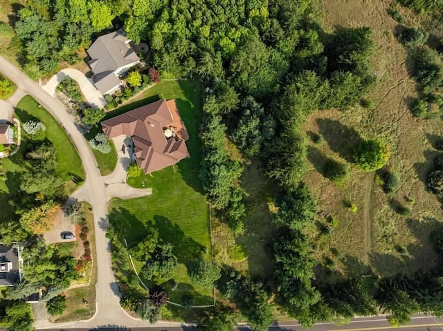 290 Mitchell Hills Dr, Petoskey, MI 49770 - aerial overview of property's location