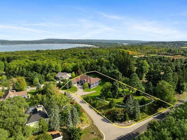 290 Mitchell Hills Dr, Petoskey, MI 49770 - view of property location with a heavily wooded area, property boundaries highlighted, and a nearby body of water