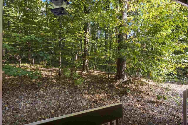 2500 Josef Strasse Unit 410/411, Bellaire, MI 49615 - view of nature
