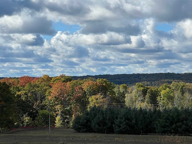 view of mountain feature