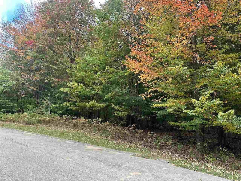 4107 W Ridge Ct, Harbor Springs, MI 49740