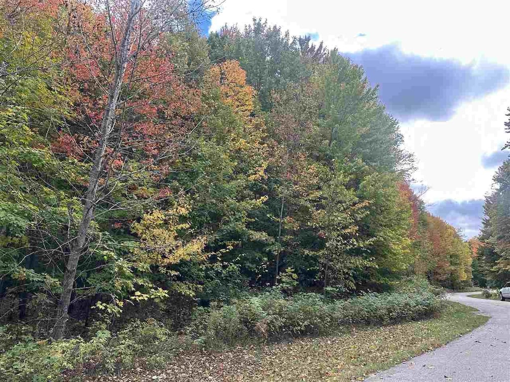4107 W Ridge Ct, Harbor Springs, MI 49740