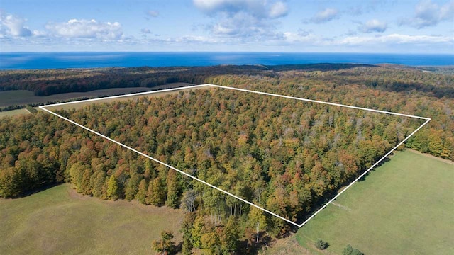 Listing photo 2 for TBD W Robinson Rd, Harbor Springs MI 49740