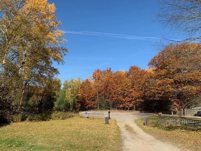 view of road