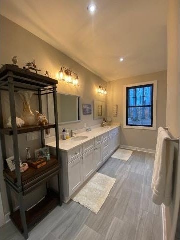 bathroom with sink and wood-type flooring