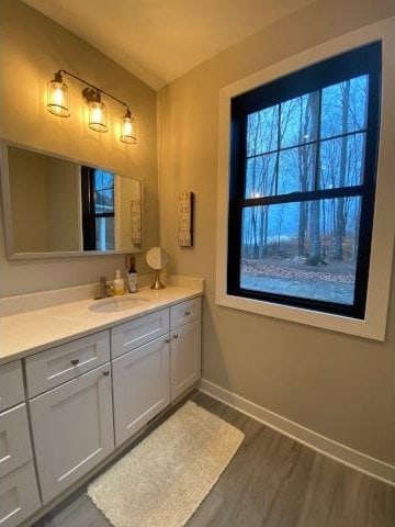 bathroom featuring vanity and wood-type flooring