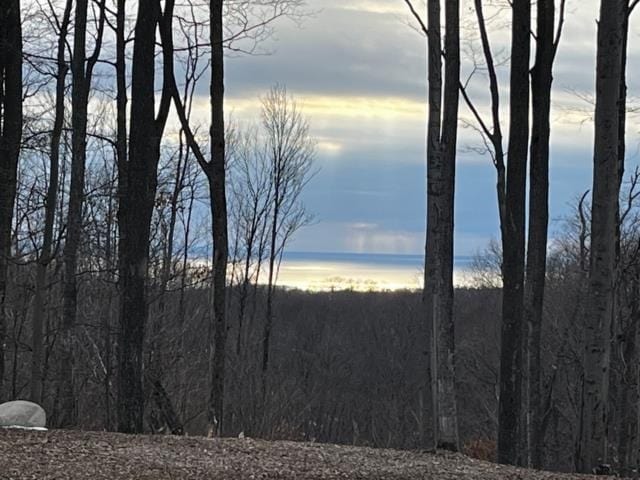 view of nature at dusk