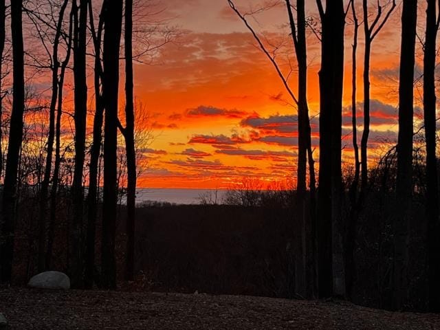 view of nature at dusk