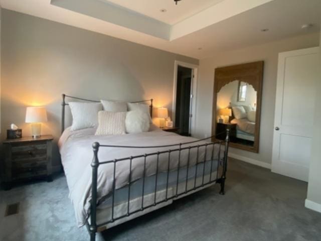 carpeted bedroom featuring a raised ceiling