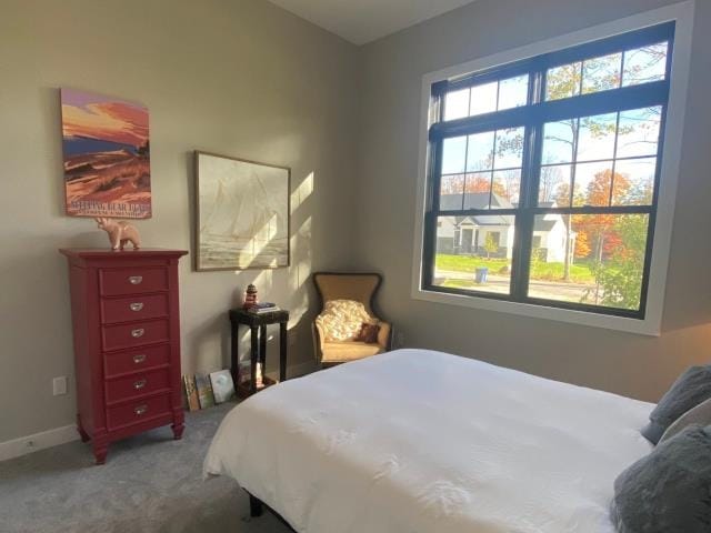 bedroom with carpet