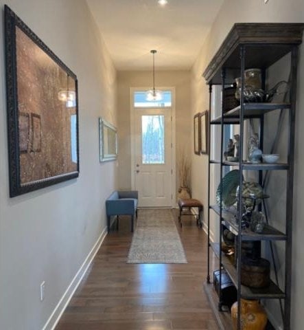 doorway to outside with dark hardwood / wood-style flooring