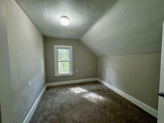 additional living space featuring a textured ceiling, lofted ceiling, and carpet