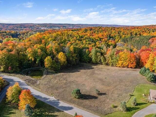 LOT14 Aspen Ridge Ct, Boyne City, MI 49712