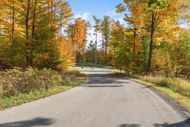 LOT14 Aspen Ridge Ct, Boyne City, MI 49712