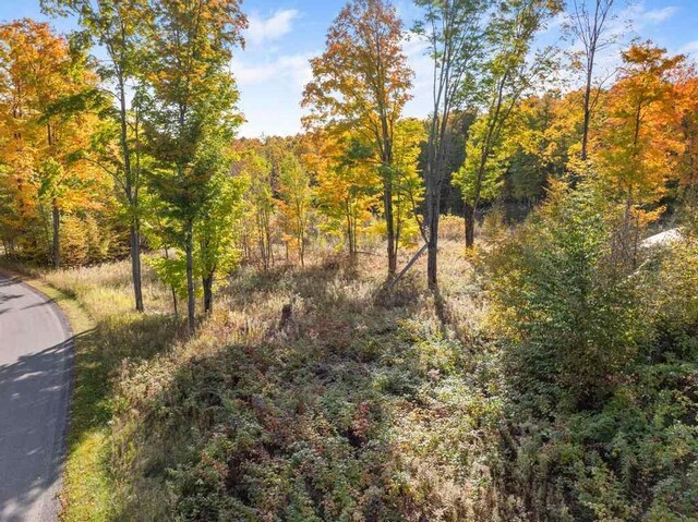 LOT14 Aspen Ridge Ct, Boyne City, MI 49712