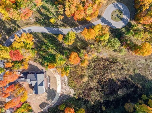 LOT14 Aspen Ridge Ct, Boyne City, MI 49712