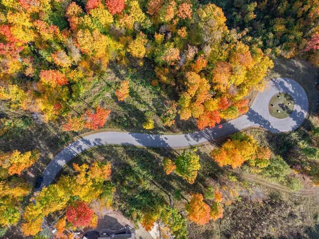 LOT14 Aspen Ridge Ct, Boyne City, MI 49712