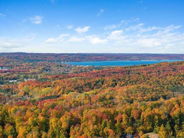 LOT14 Aspen Ridge Ct, Boyne City, MI 49712
