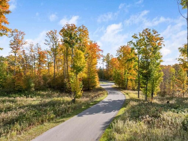 LOT14 Aspen Ridge Ct, Boyne City, MI 49712