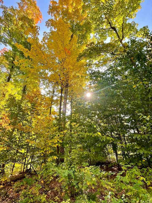 LOT8 High Pines Trl, Boyne City, MI 49712
