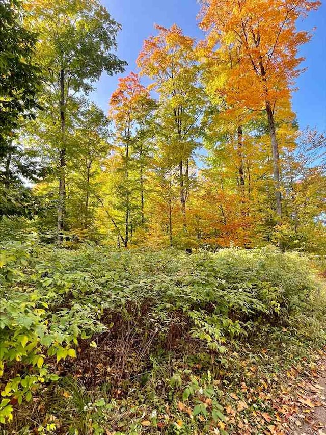 LOT8 High Pines Trl, Boyne City, MI 49712