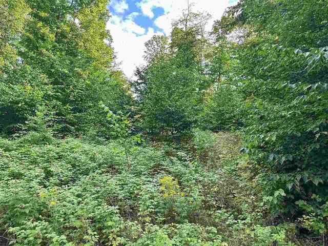 LOT8 High Pines Trl, Boyne City, MI 49712