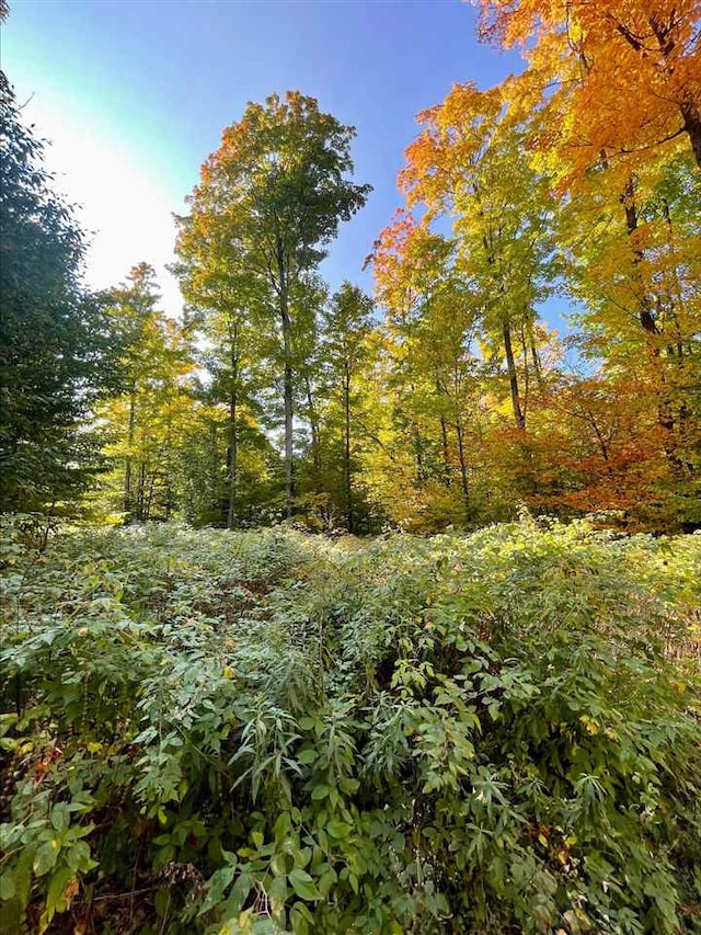 LOT7 High Pines Trl, Boyne City MI, 49712 land for sale