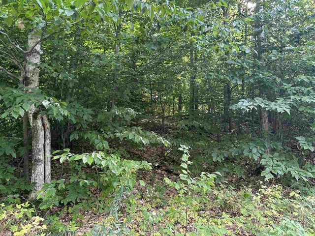 LOT7 High Pines Trl, Boyne City, MI 49712