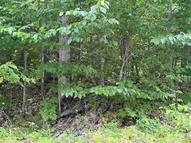LOT7 High Pines Trl, Boyne City, MI 49712