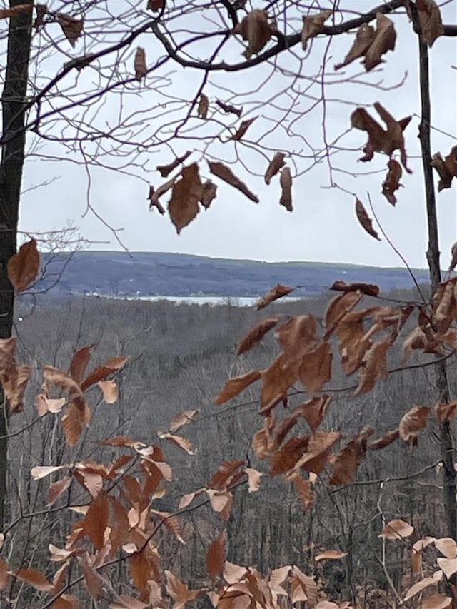 LOT7 High Pines Trl, Boyne City, MI 49712