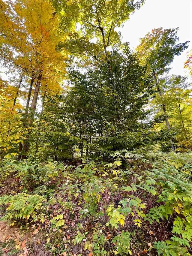 Listing photo 3 for LOT7 High Pines Trl, Boyne City MI 49712