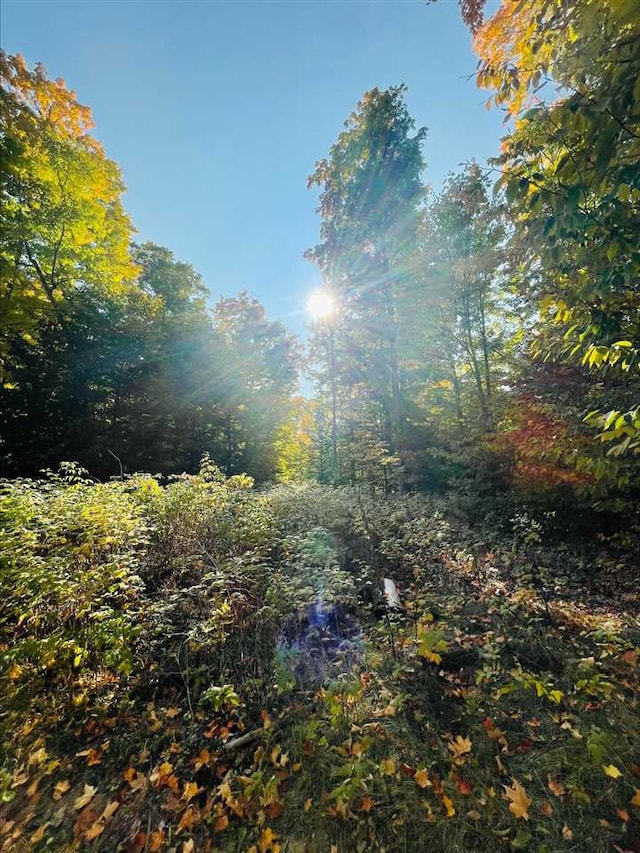 LOT7 High Pines Trl, Boyne City, MI 49712