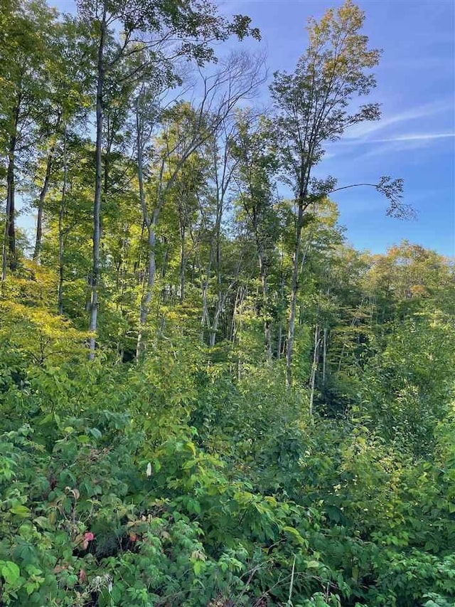 LOT7 High Pines Trl, Boyne City, MI 49712