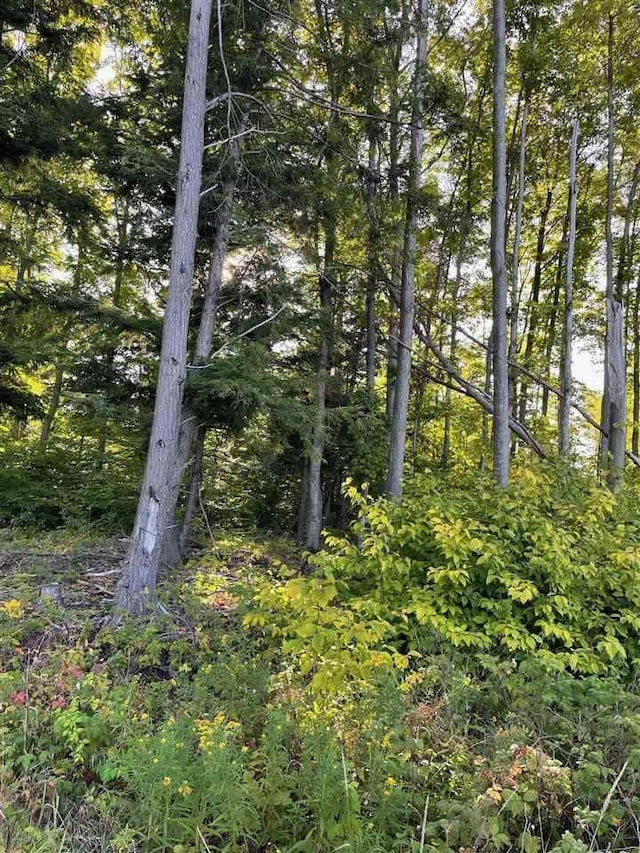 LOT7 High Pines Trl, Boyne City, MI 49712