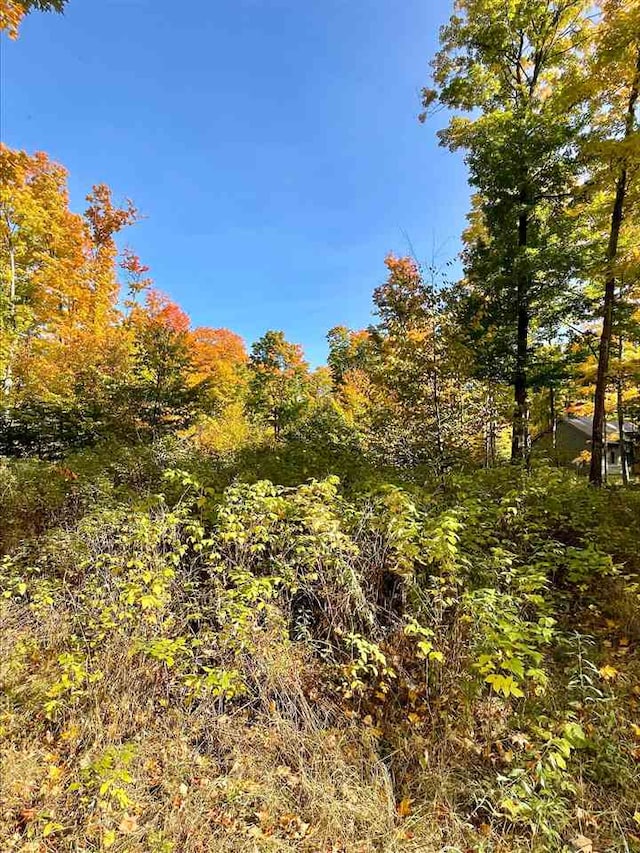 Listing photo 2 for LOT10 High Pines Trl, Boyne City MI 49712