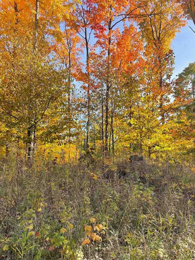 Listing photo 2 for LOT11 Aspen Ridge Ct, Boyne City MI 49712