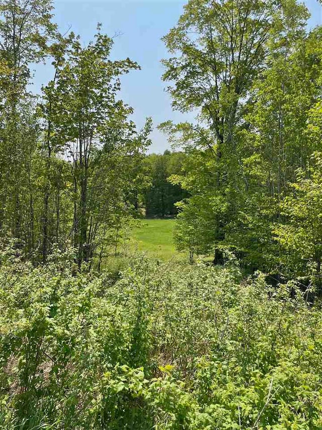 LOT15 Aspen Ridge Ct, Boyne City MI, 49712 land for sale