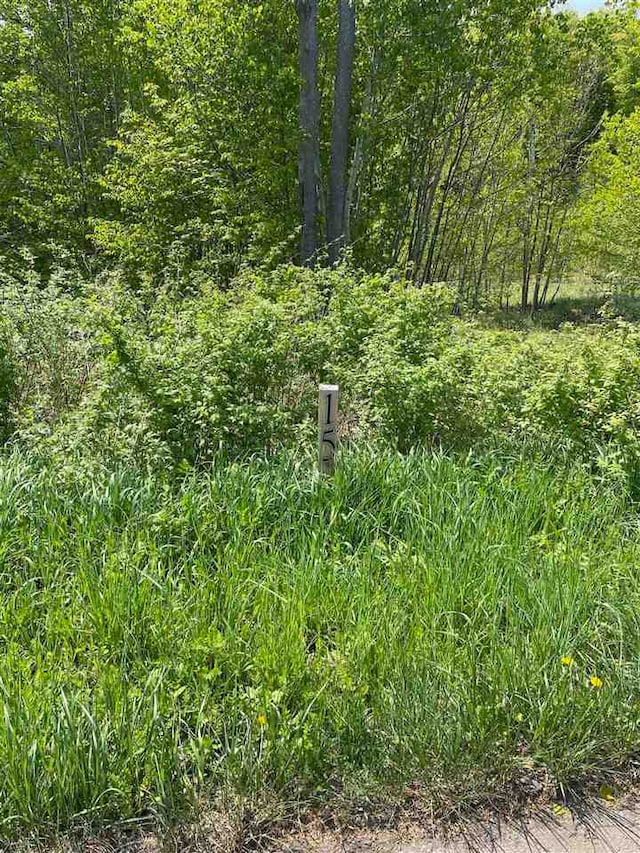 Listing photo 2 for LOT15 Aspen Ridge Ct, Boyne City MI 49712