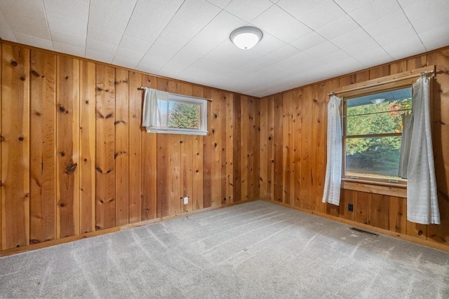 empty room featuring a wealth of natural light, wooden walls, and carpet floors