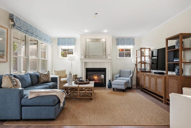 living room with crown molding, a fireplace, and hardwood / wood-style flooring