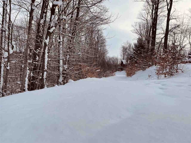 view of snowy view