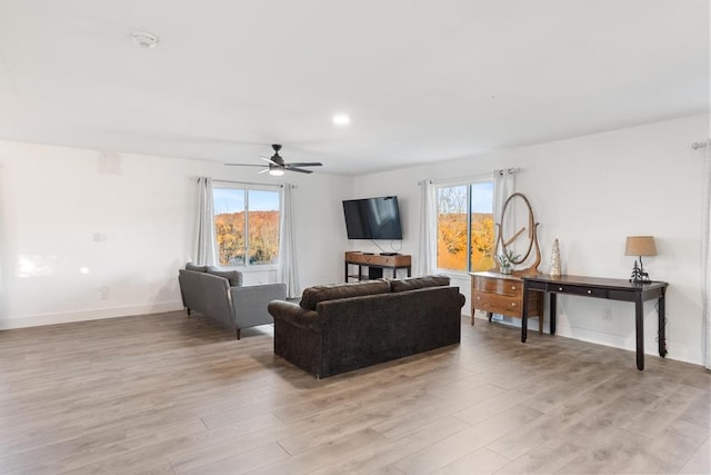 living room with a wealth of natural light, light wood-type flooring, and ceiling fan