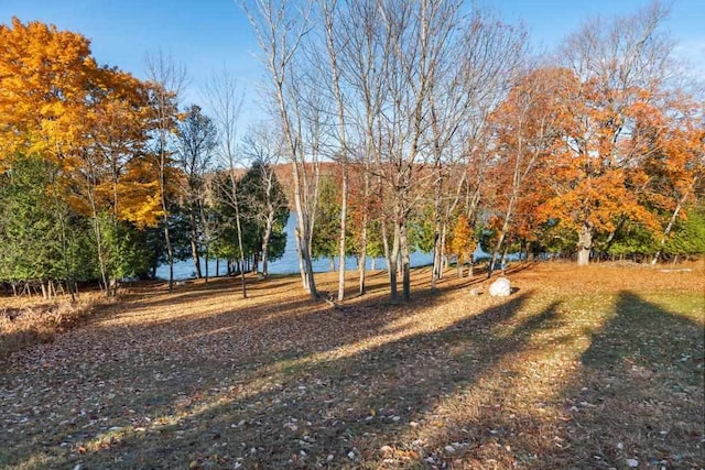 view of yard with a water view