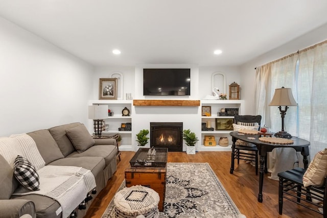 living room with wood-type flooring