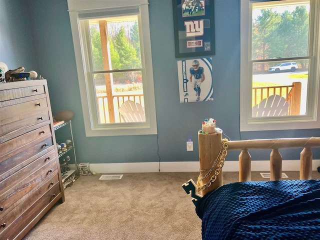 bedroom with multiple windows and carpet