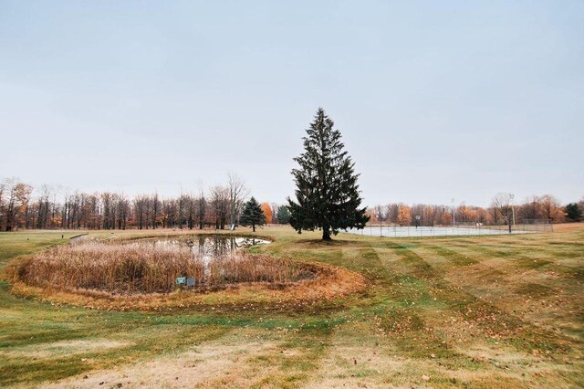 1185 Hideaway Valley Dr Unit 5, Harbor Springs, MI 49740 - view of yard with a water view