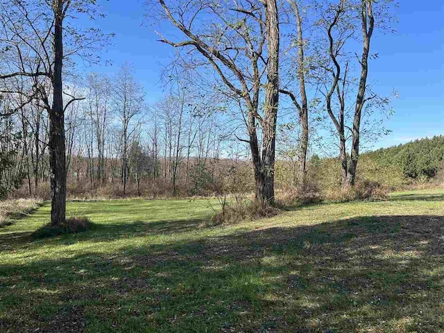 5157 Graham Rd, East Jordan, MI 49727 - view of yard with a forest view